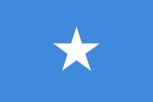 سومالی (سومالیایی: Soomaaliya; عربی: الصومال‎؛ به صورت رسمی «جمهوری فدرال سومالی»[۱] (سومالیایی: Jamhuuriyadda Federaalka Soomaaliya, عربی: جمهوریة الصومال الفدرالیة‎) یک کشور ساحلی است که در منطقه شاخ آفریقا در شرق آفریقا واقع شده‌است و پایتخت آن موگادیشو است. این کشور، قبلاً با نام «جمهوری دمکراتیک سومالی» شناخته می‌شد. ۹۸٪مردم این کشور نیز مسلمان هستند.